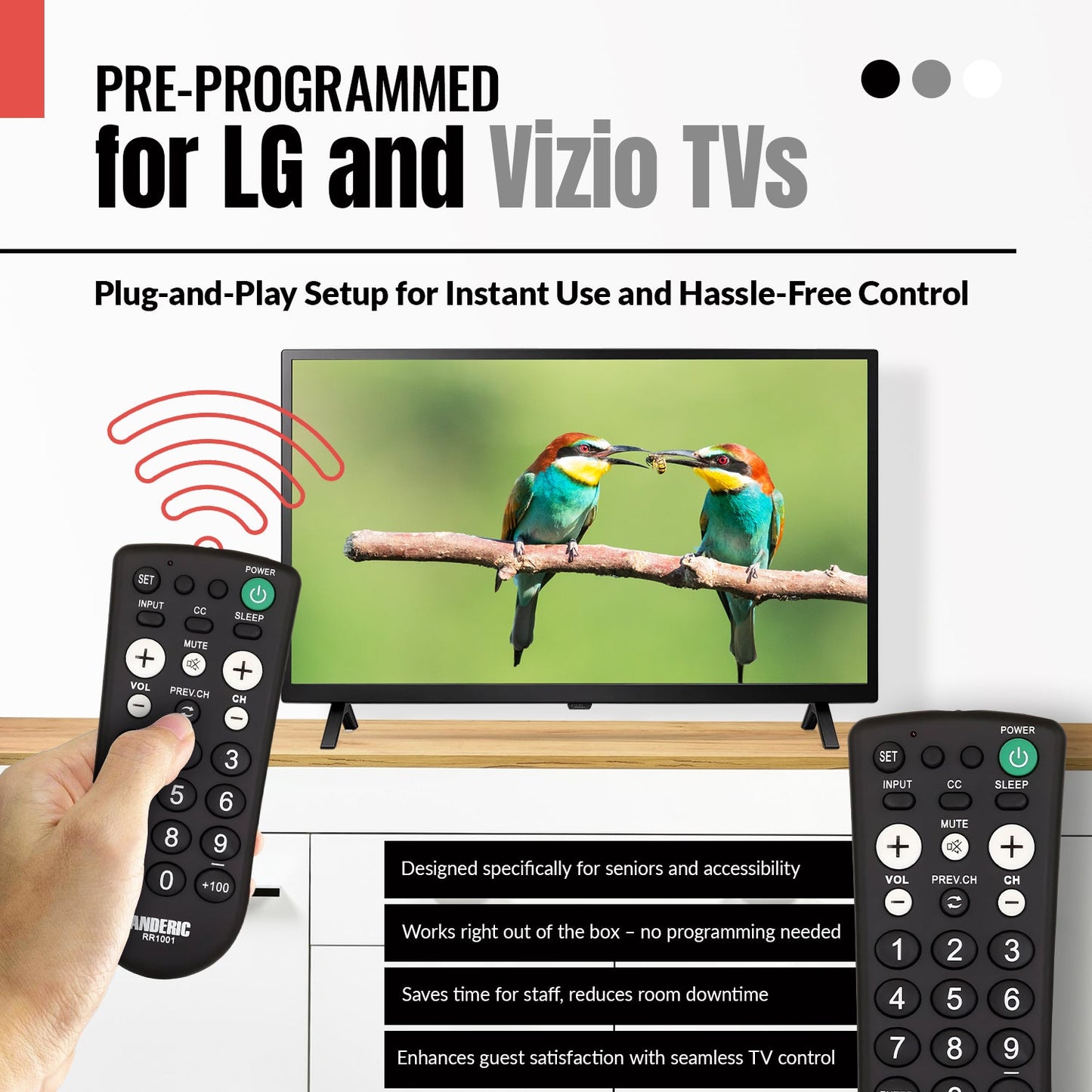 EasyView Large Button TV Remote