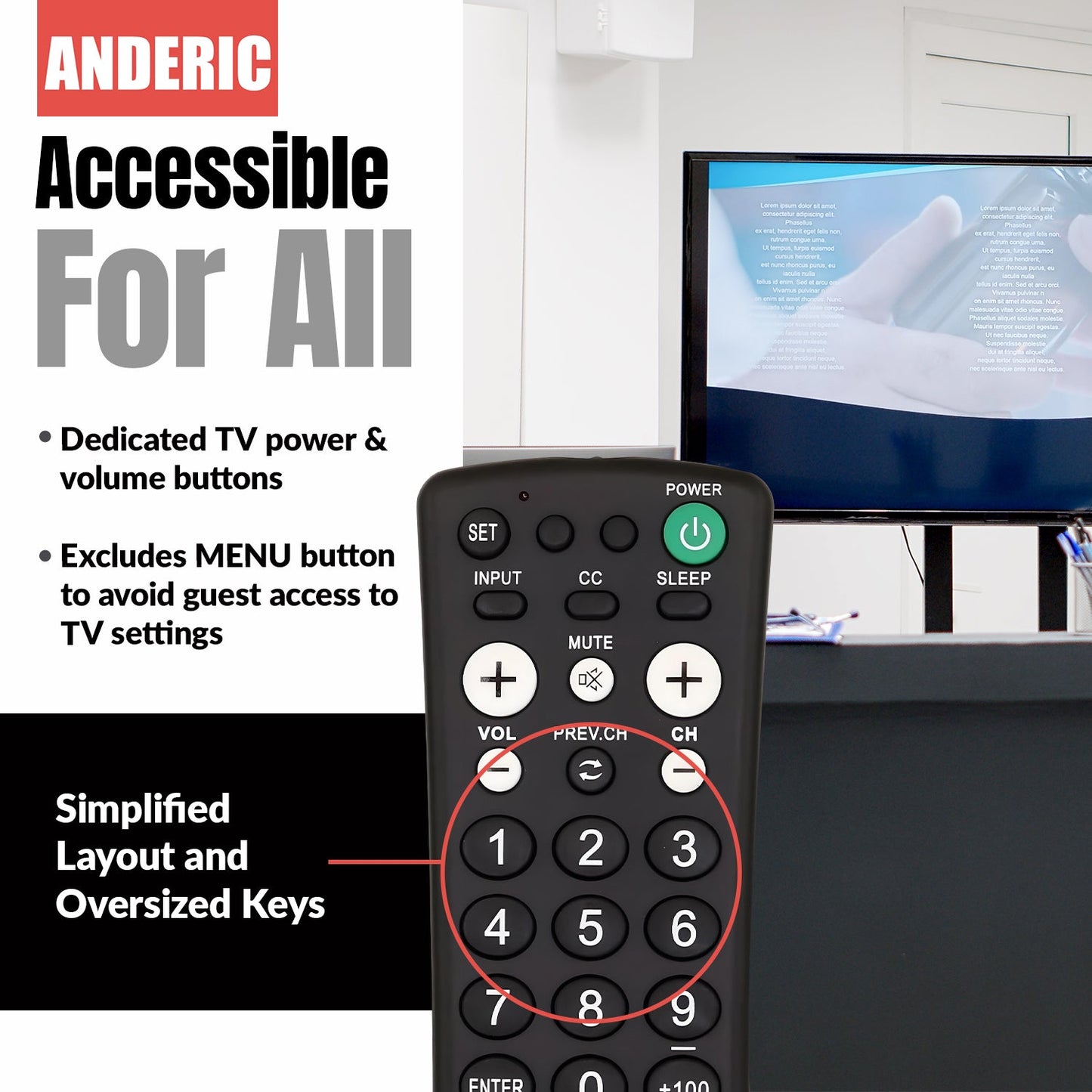 EasyView Large Button TV Remote